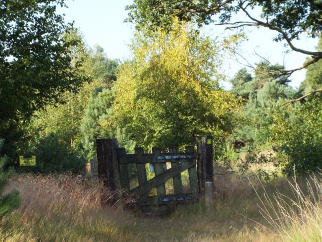 Naar de Oude Bakelsedijk