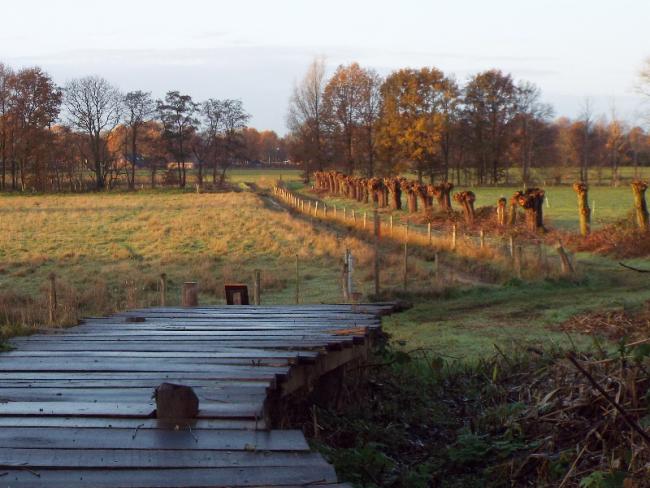Breuken en wijstgronden-tocht