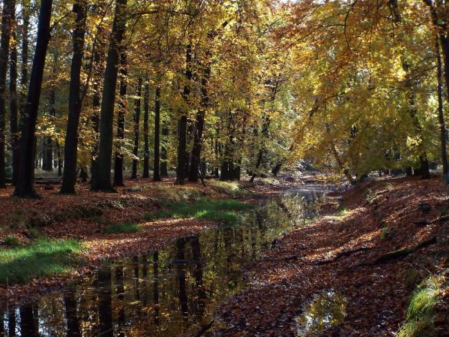 Het Koordekanaal