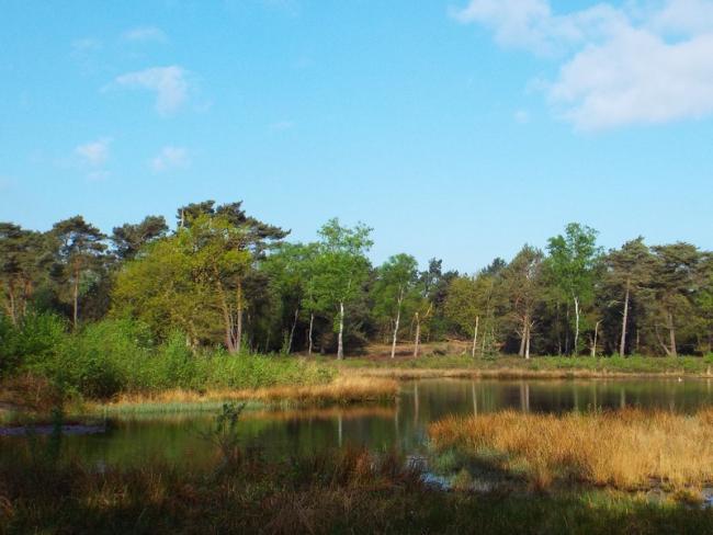 Gennepse Heide-tocht