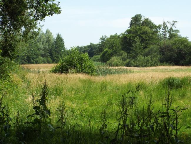 Landgoed Haanwijk