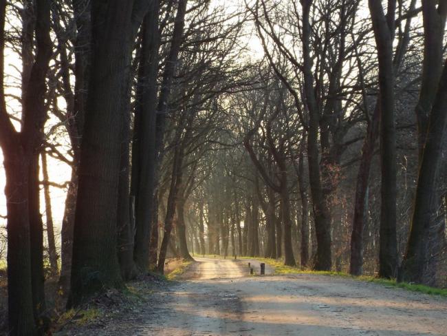 Pad door het Kesseleikerbroek