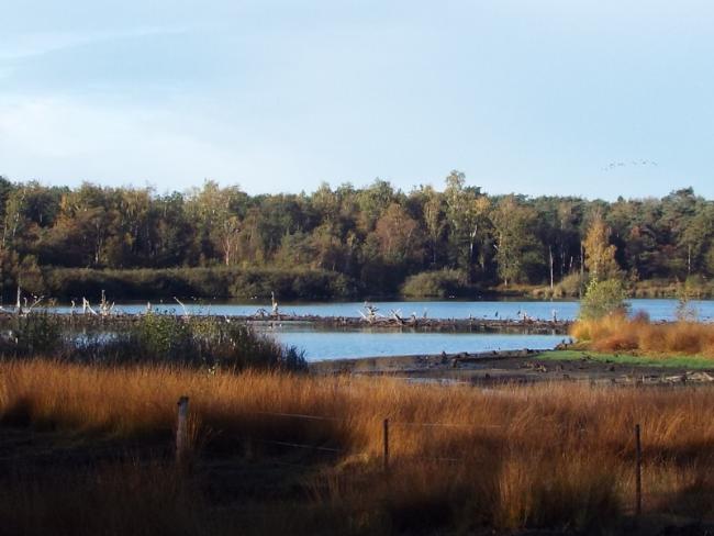 De Hazenputten