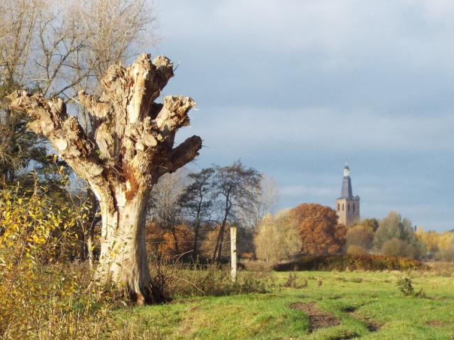 In de verte de Knoptoren
