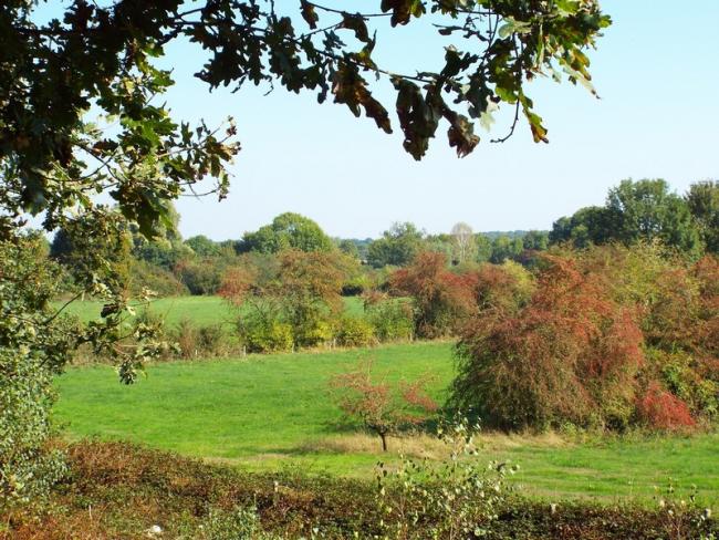 Uitzicht vanuit de Groeningse Bergen