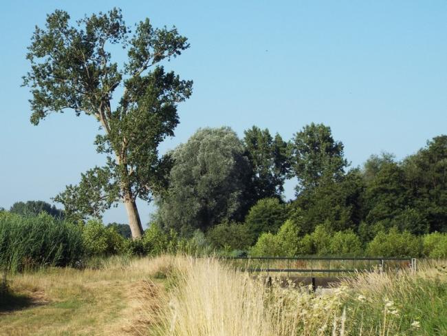 Ommetje Loobeekdal