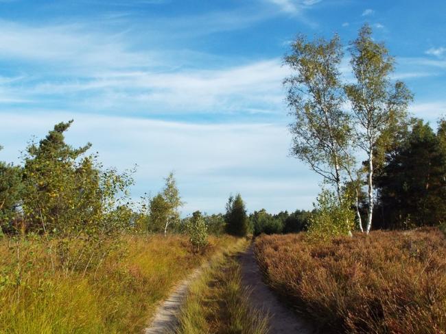 Spijkertse Heide-tocht