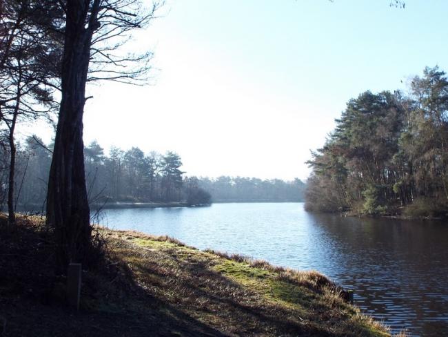 Rond de Witte Bergen