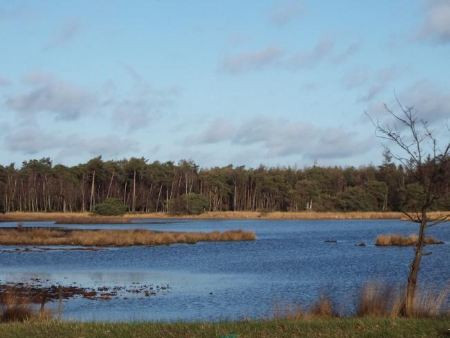 Het Witven