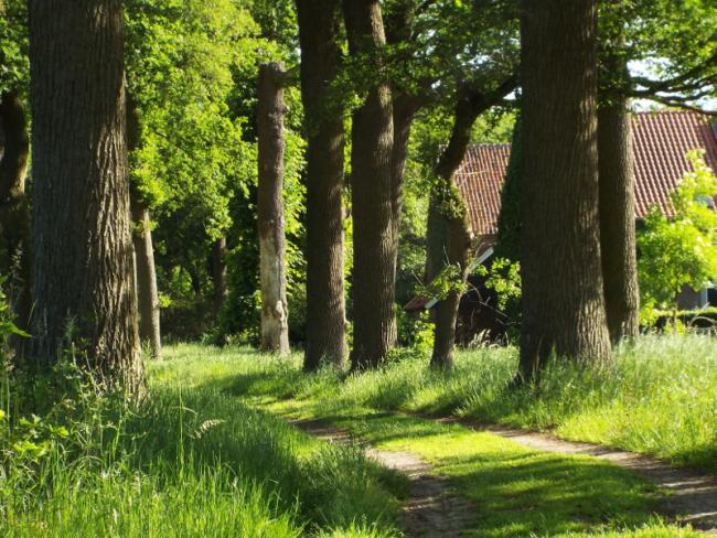 Pad langs boerderij Kloosterhof