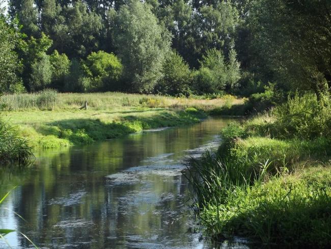 De Dommel