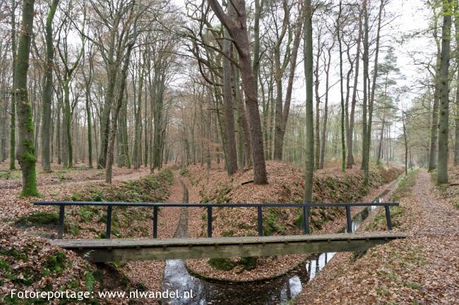 Paleispark, Nieuwe sprengen