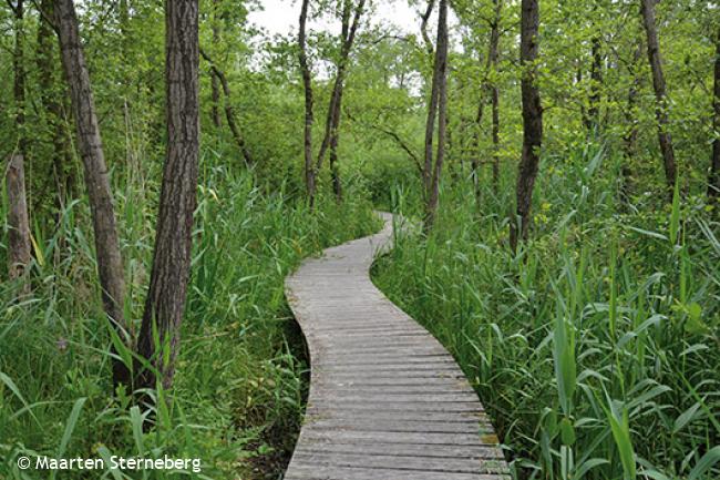 Wandelen in de Moerputten