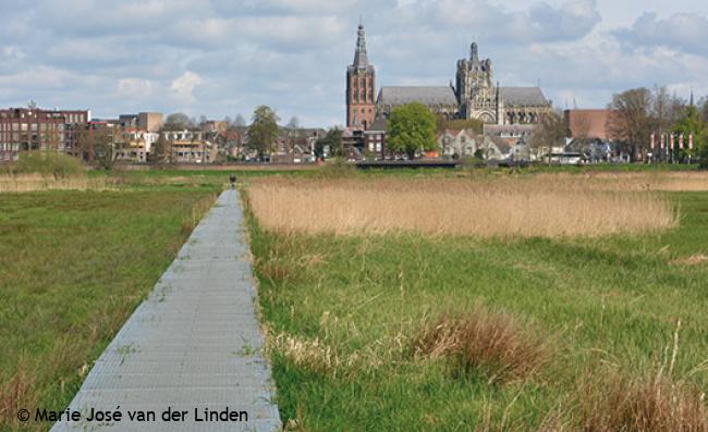 De Sint-Jan vanuit het Bossche Broek