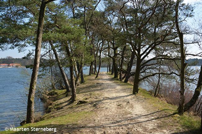 De IJzeren Man in Vught