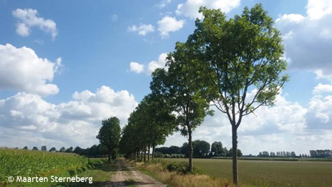 Zandpad vanaf Belversedijk, Haaren
