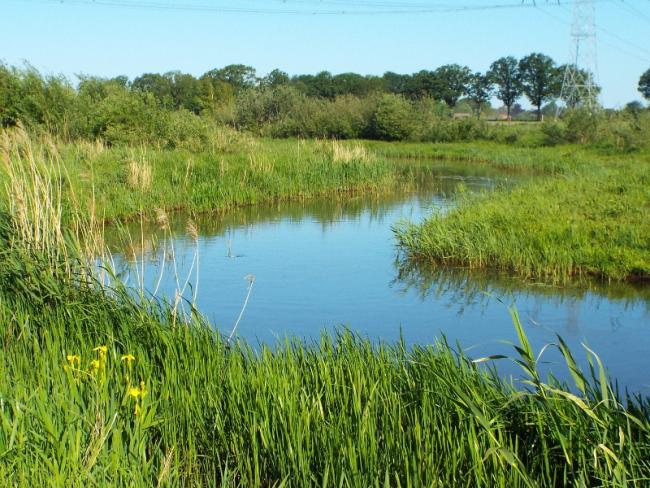 De Tungelroyse Beek