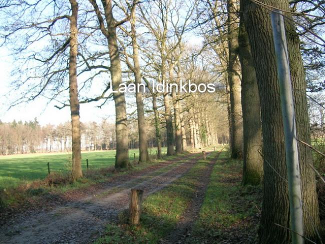 laan Idinkbos