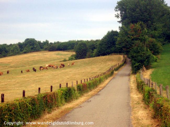ROL-route Reijmerstok