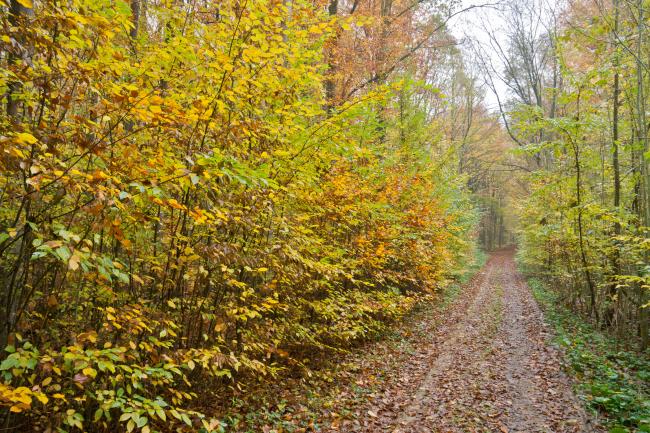 Trage Tocht Marknesse