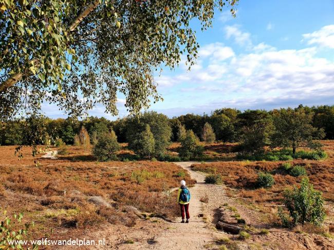 Trage Tocht Zwolse Bos