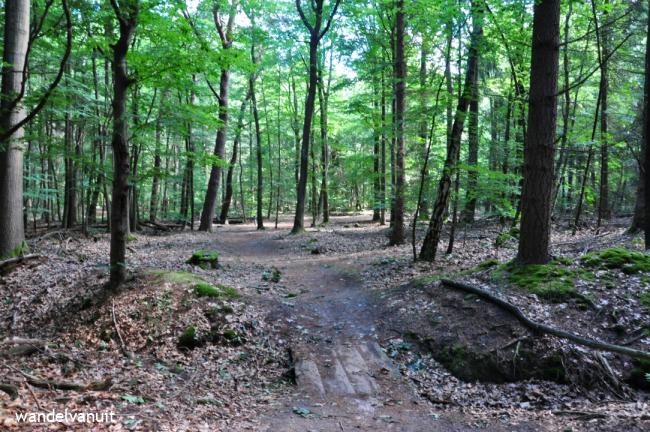 wvu wandelroute Oudemirdum2