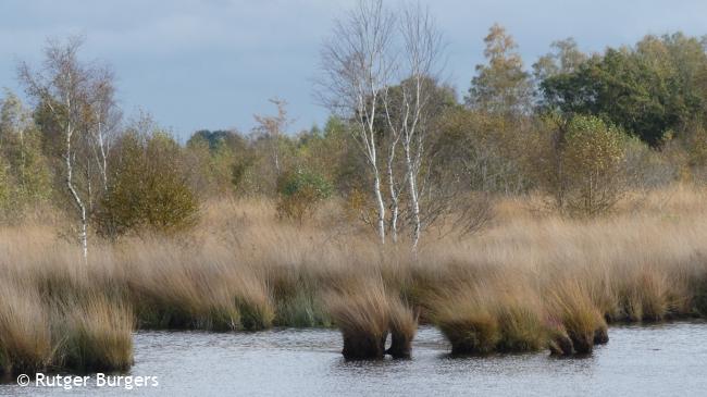 Trage Tocht Groote Peel