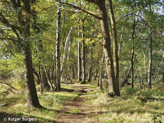 Trage Tocht Schinveld