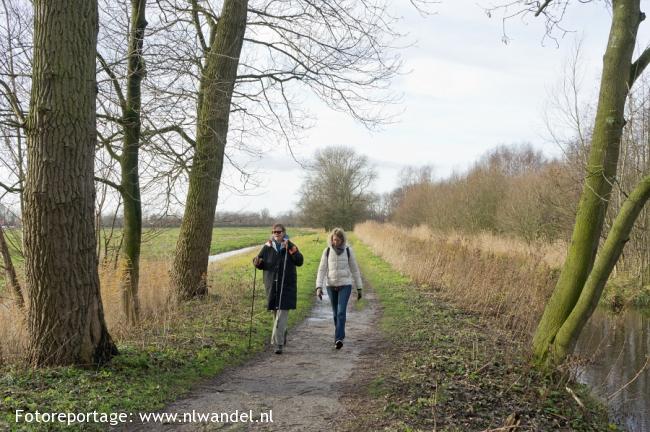 Oeverlanden Nieuwe Meer