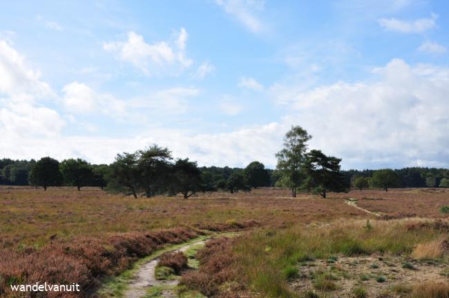 wvu wandelroute Herinneringskamp Westerbork