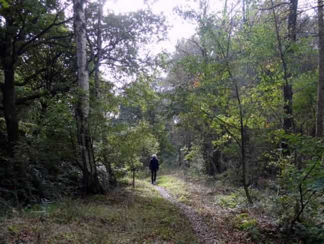 Ommetje Leidijk en Middelbroekbos