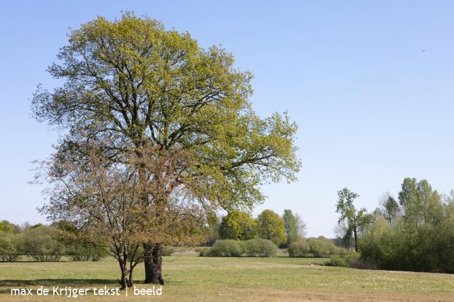 Stegeren, Karshoek