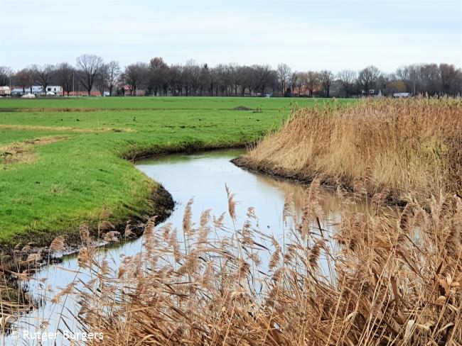 Trage Tocht Swartbroek