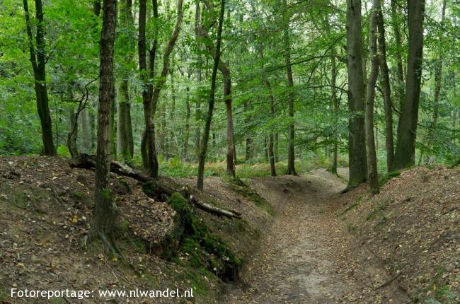 Zeven Heuvelen