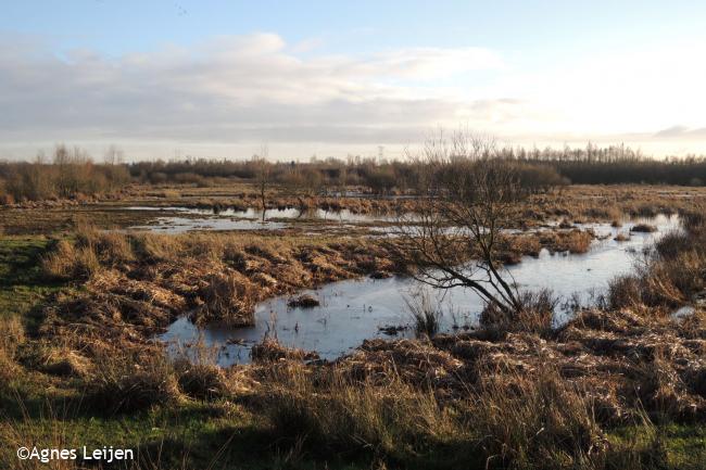 Kabbelend naar Spoordonk