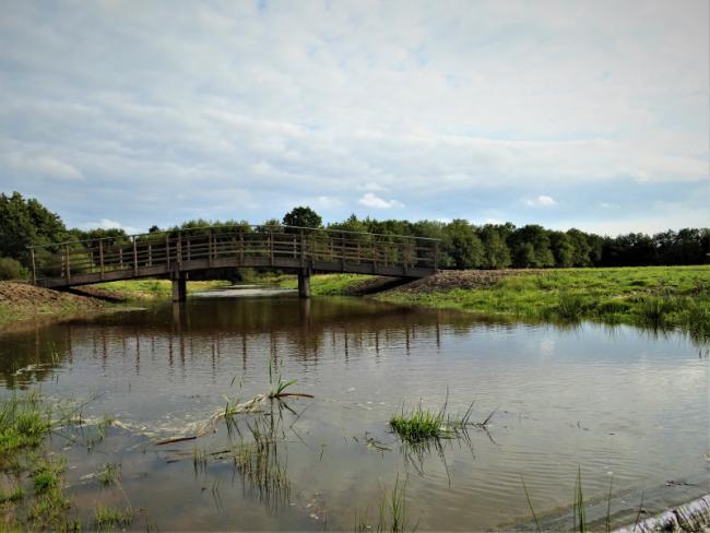 Een brug in de Breedwisch