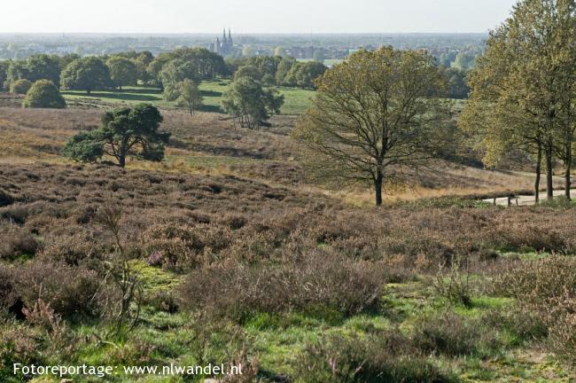 Mookerheide route