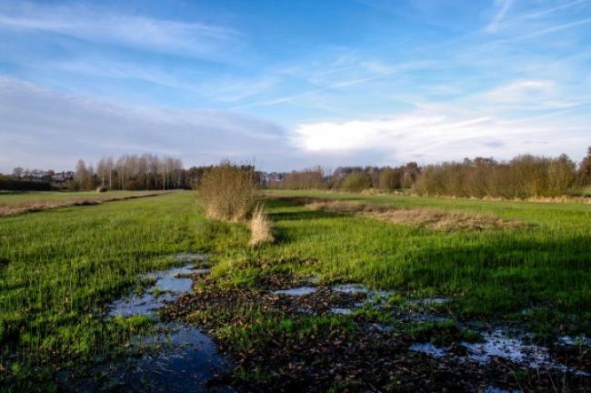 Groeten uit Mierlo