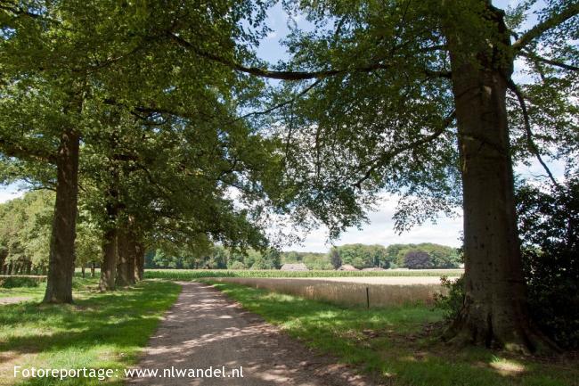 Warnsborn, Hoge Erf, Vijverberg en Westerheide