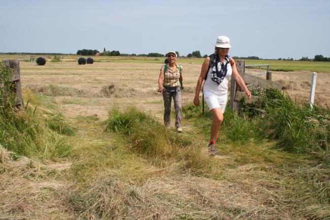 Trage Tocht Ilpendam-Watergang