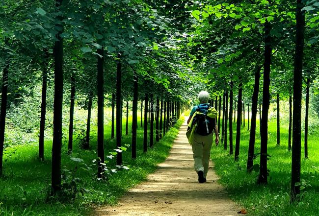 Trage Tocht Lochem Het Groote Veld