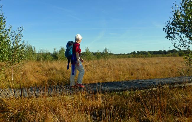 Trage Tocht Haaksbergerveen