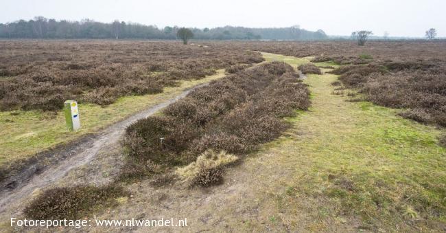 Zuider- en westerheide