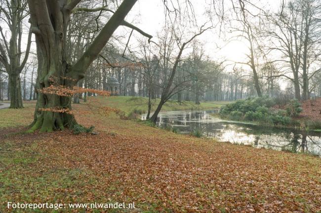 Houdringe, Beerschoten, Panbos