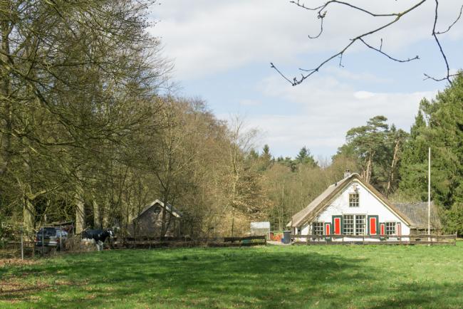 StationsOmmetje Hollandsche Rading