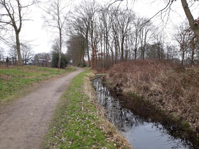 Langs de zandheuveltjes