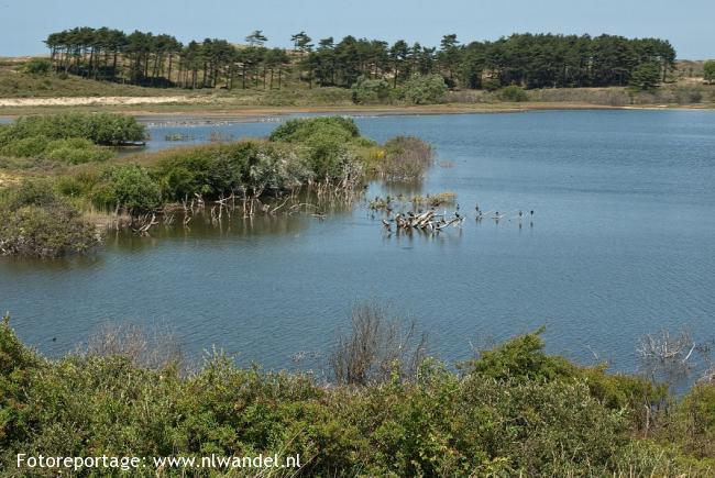 Kennemerduinen