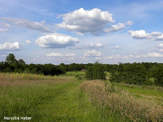 Bijzondere bergwandeling Enschede Twekkelo