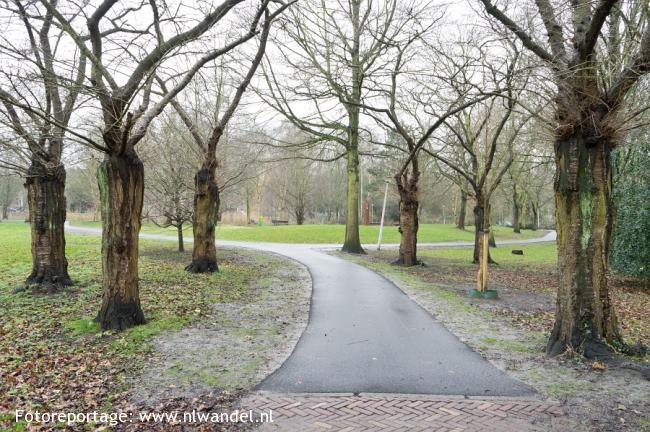 Groene Wissel Den Haag Mariahoeve