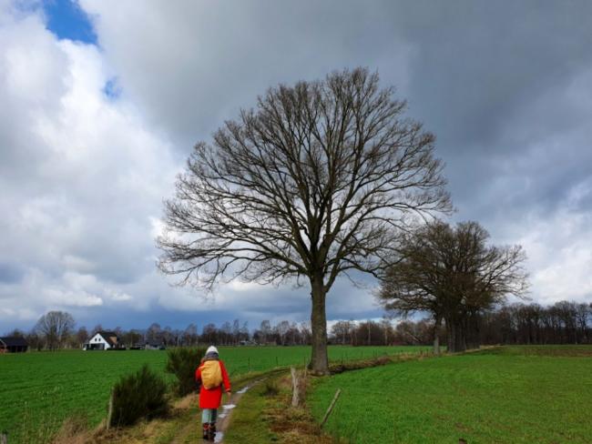 Trage Tocht IJzerlo